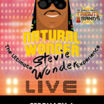 Natural Wonder - The Ultimate Stevie Wonder Experience